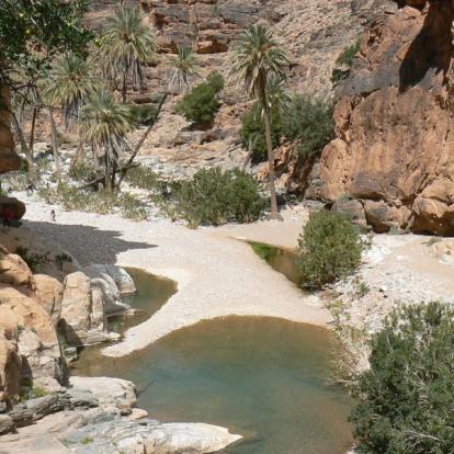 Voyage au Maroc : Palmeraies de l'Atlas