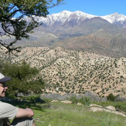 Voyage au Maroc : Palmeraies de l'Atlas