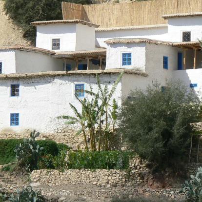 Voyage au Maroc : Palmeraies de l'Atlas