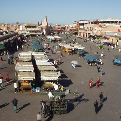 Voyage au Maroc : Palmeraies de l'Atlas