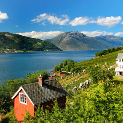 Circuit en Norvège : Au Fil des Fjords