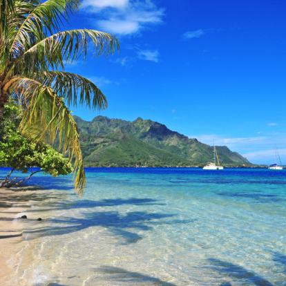 Séjour en Polynésie: Du bleu lagon de Moorea au vert sauvage des Marquises