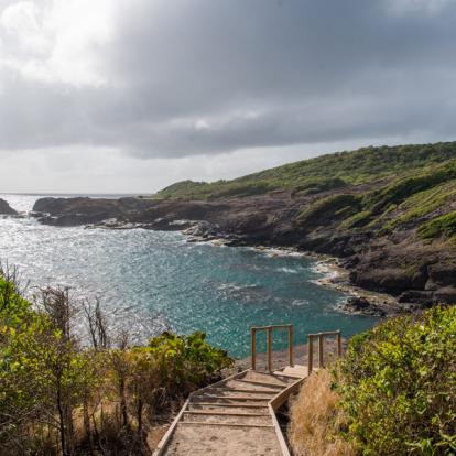 Presqu'ile de la Caravelle Voyage en Martinique: Combiné de Rêve en Martinique et aux Grenadines