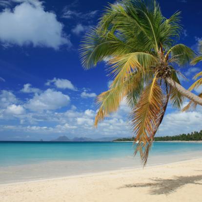 Circuit en Martinique: Combiné de Rêve en Martinique et aux Grenadines