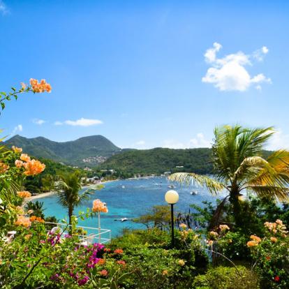 Voyage en Martinique: Route du Rhum du Sud au Nord