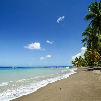 Voyage en Martinique: Route du Rhum du Sud au Nord