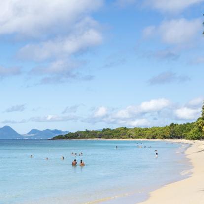 Voyage en Martinique: Route du Rhum du Sud au Nord