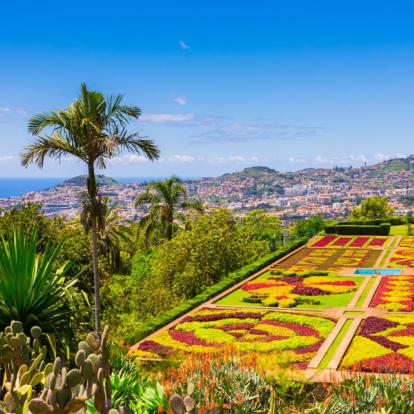 Funchal Circuit à Madère - Madère en Liberté