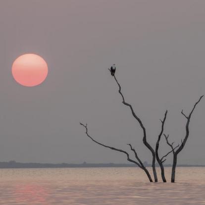 Circuit au Botswana : Okamana, Okavango à Mana Pools