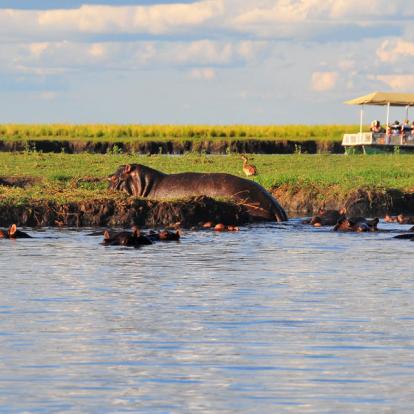 Circuit au Botswana : Okamana, Okavango à Mana Pools