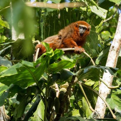 Circuit en Equateur : Terre de Contrastes