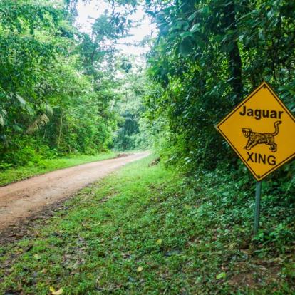 Circuit au Belize - Voyage de noces dans les Caraïbes