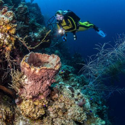 Circuit au Belize - Entre Aventure et Incontournables