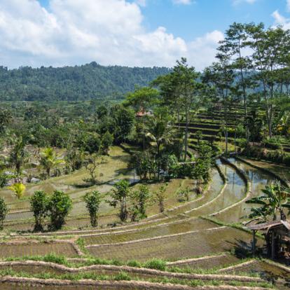 Voyage en Indonésie - Les Essentiels de Bali