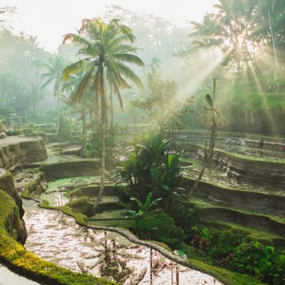 Circuit en Indonésie - Les Essentiels de Bali