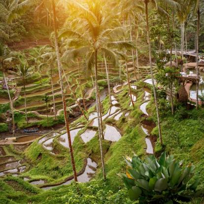 Circuit en Indonésie - Voyage en famille à Bali
