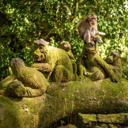 Circuit en Indonésie - Voyage en famille à Bali