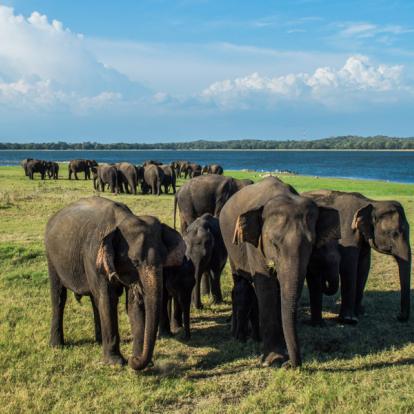 Voyage au Sri Lanka - Les Classiques du Sri Lanka en été