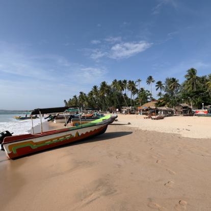 Circuit au Sri Lanka - Les Classiques du Sri Lanka en été