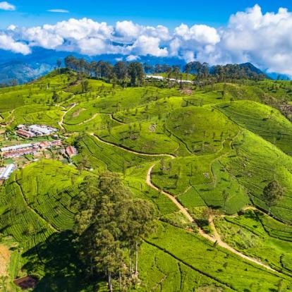 Voyage au Sri Lanka - Les Classiques du Sri Lanka en Hiver