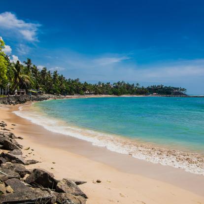 Voyage au Sri Lanka - Les Classiques du Sri Lanka en Hiver