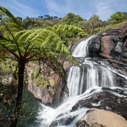 Voyage au Sri Lanka - Randonnées au Sri Lanka