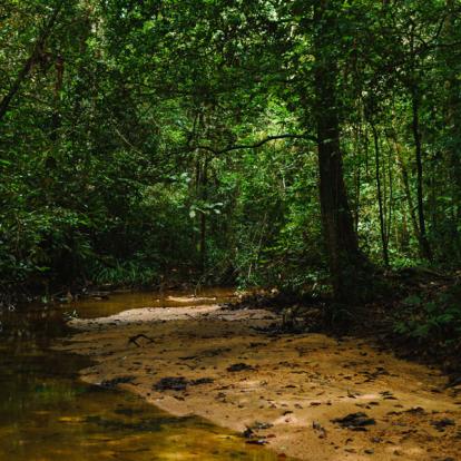 Voyage au Sri Lanka - Randonnées au Sri Lanka