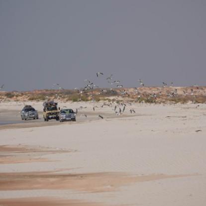 Voyage au Maroc - Merveilles du Sahara Côtier