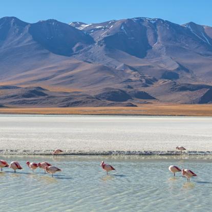 Voyage en Bolivie - Vins et Couleurs de Bolivie