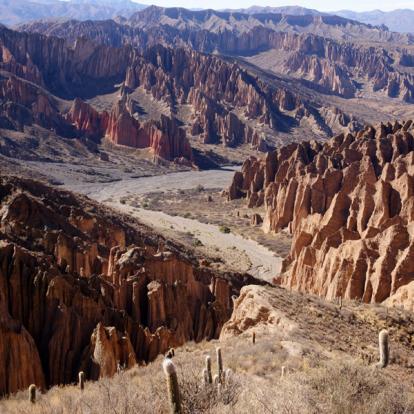 Voyage en Bolivie - Vins et Couleurs de Bolivie