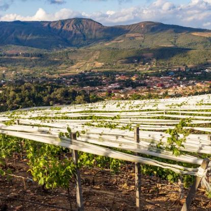 Circuit en Bolivie - Vins et Couleurs de Bolivie
