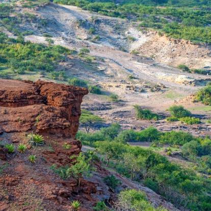 Safari en Tanzanie - Le nord et Zanzibar