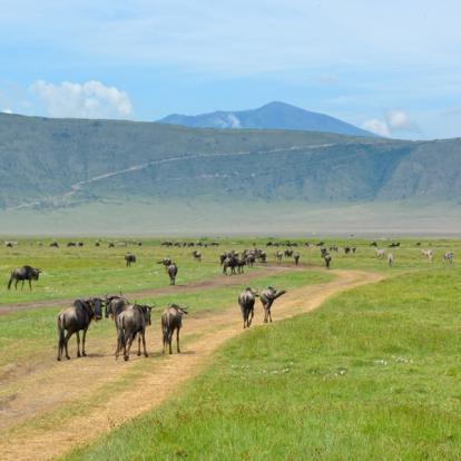 Voyage en Tanzanie - Le nord et Zanzibar