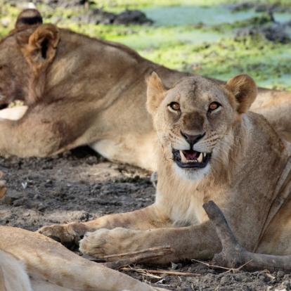 Voyage en Tanzanie - Le nord et Zanzibar