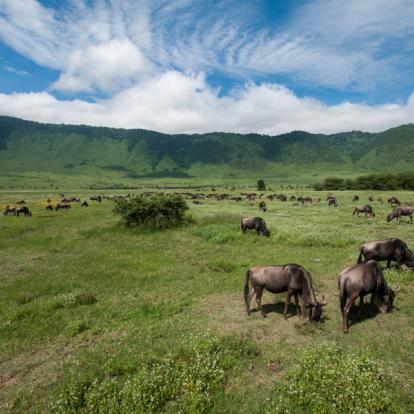 Circuit en Tanzanie - Kilimandjaro et safari