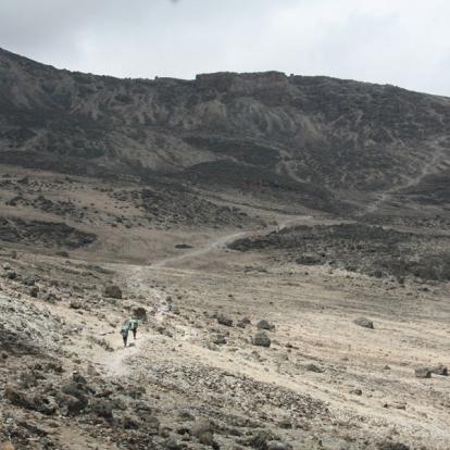 Voyage en Tanzanie - Kilimandjaro et safari