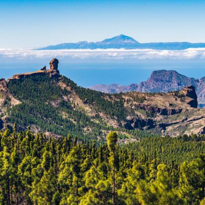 Autotour aux Canaries - Gran Canaria en Liberté