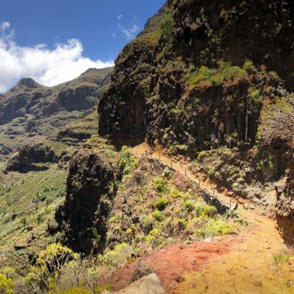 Voyage aux Canaries - Tenerife et la Gomera en Liberté