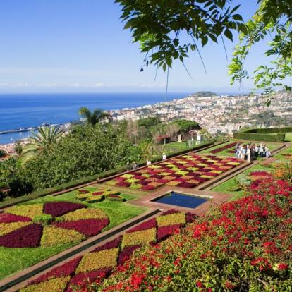 Funchal - Monte Garden Circuit à Madère - Beautés Madériennes et extension lisboète