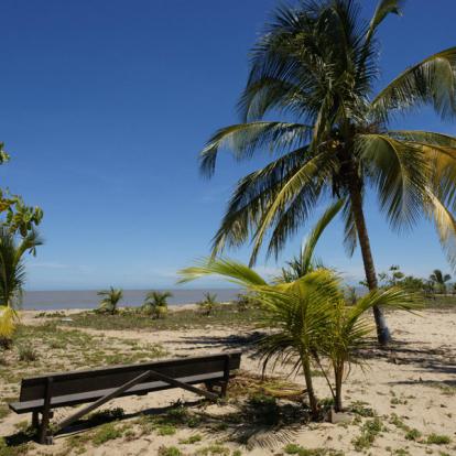 Circuit en Guyane - Histoire et Culture de La Guyane