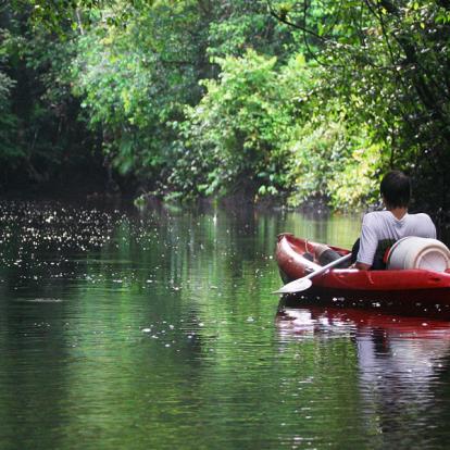 Circuit en Guyane - Histoire et Culture de La Guyane