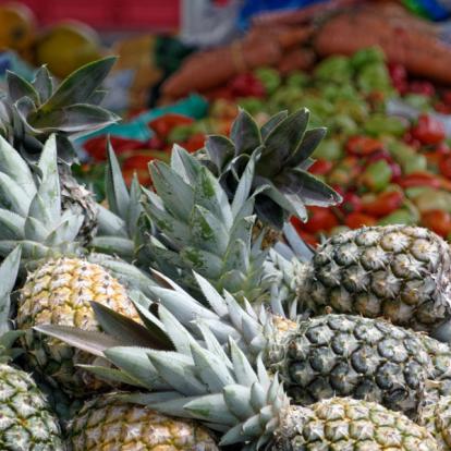 Voyage en Guyane - Histoire et Culture de La Guyane