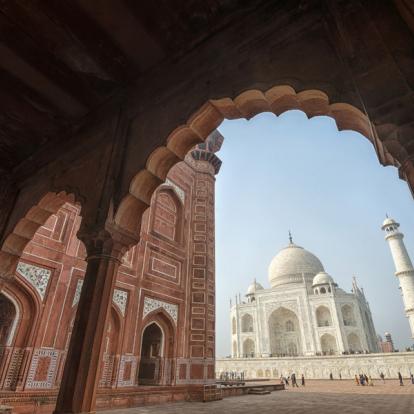Voyage en Inde - Palais et Tigres en famille
