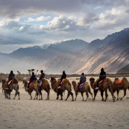 Voyage en Inde - Au fil du Pashmina