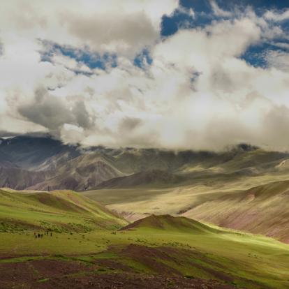 Circuit en Inde - Trek dans la vallée de la Markha