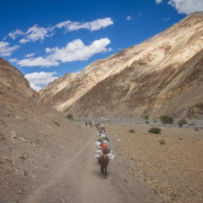 Voyage en Inde - Trek dans la vallée de la Markha