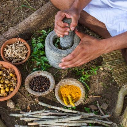 Voyage en Inde - Cure Ayurvéda
