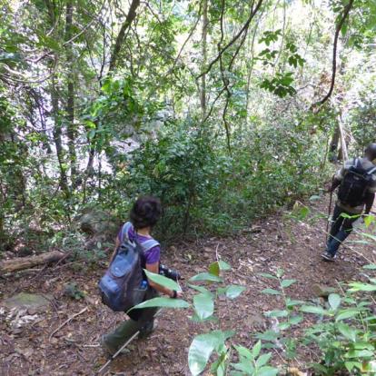Circuit en Tanzanie - Terre sauvage et île secrète