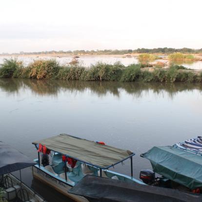 Circuit en Tanzanie - Terre sauvage et île secrète