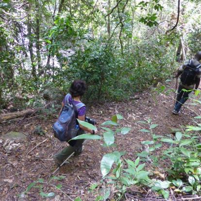 Voyage en Tanzanie - Les Grands Parcs du Sud Tanzanien